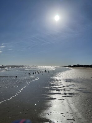 Beach - Tiki Bar, King Bed, Arcade, Hot Tub, 4min to Beach (Crystal Beach)