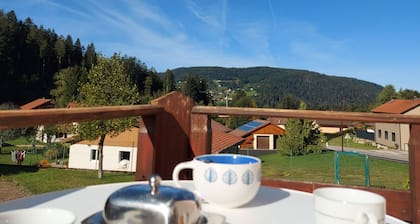 Beautiful apartment in a Vosges farm