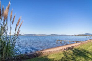 Une vue sur le lac, avec une jetée en bois qui s’avance dans l’eau, entourée de zones herbeuses et de hautes herbes.