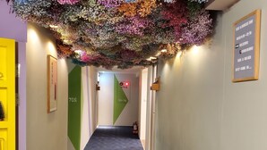 A hotel hallway with a black carpet, a green and white wall, and a ceiling decorated with flowers. - Stay a moment inn (Luodong)