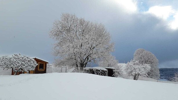 Een besneeuwd landschap met een houten huisje, een grote boom en een omheining.