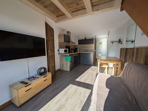 Flat-screen TV