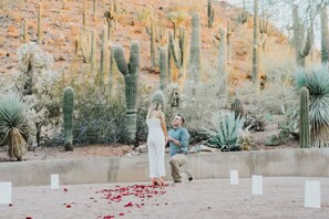 Overnatningsstedets område