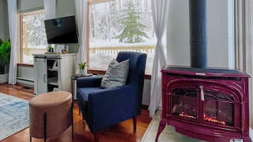 Smart-TV, Kamin