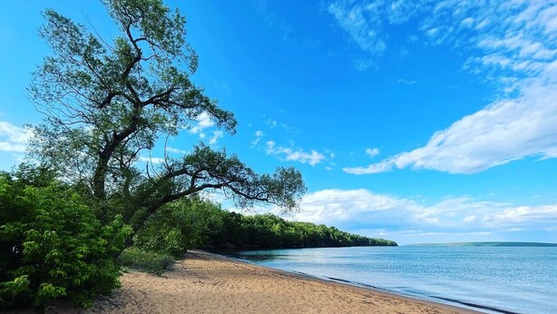 A sandy beach with a large tree and dense greenery. - Bayfield Fruit Loop Retreat - Main Cottage (Bayfield)