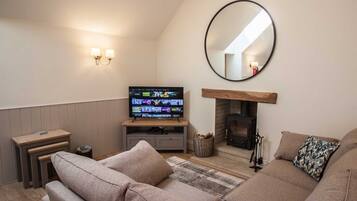 TV, fireplace, video games