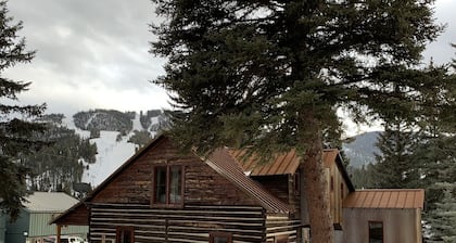 Chula Vista Cabin - In Town - Pet Friendly