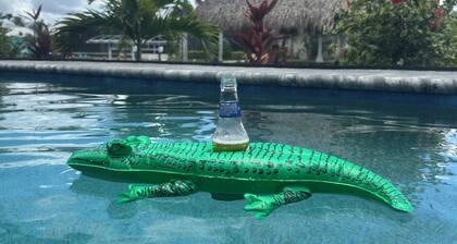 Brand New Luxury One Of A Kind Waterfront Home With Pool, Spa & Tiki Hut!