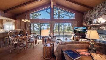 TV connectée, cheminée, livres, chaßne hi-fi