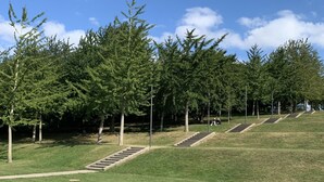 Un parc avec une pelouse, des arbres et un escalier menant au sommet d’une colline.