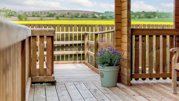 Una terraza de madera con vista a un campo amarillo, una valla de madera y una maceta con flores moradas.