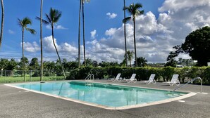 Une piscine avec des chaises longues et de grands palmiers en arrière-plan.