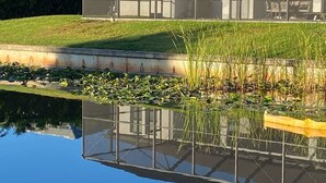 A modern building with a glass facade, a grassy area, and a water feature with lily pads and reeds. - Oasis home in SW Florida - Heated in-ground pool on a fresh water canal! (Cape Coral)