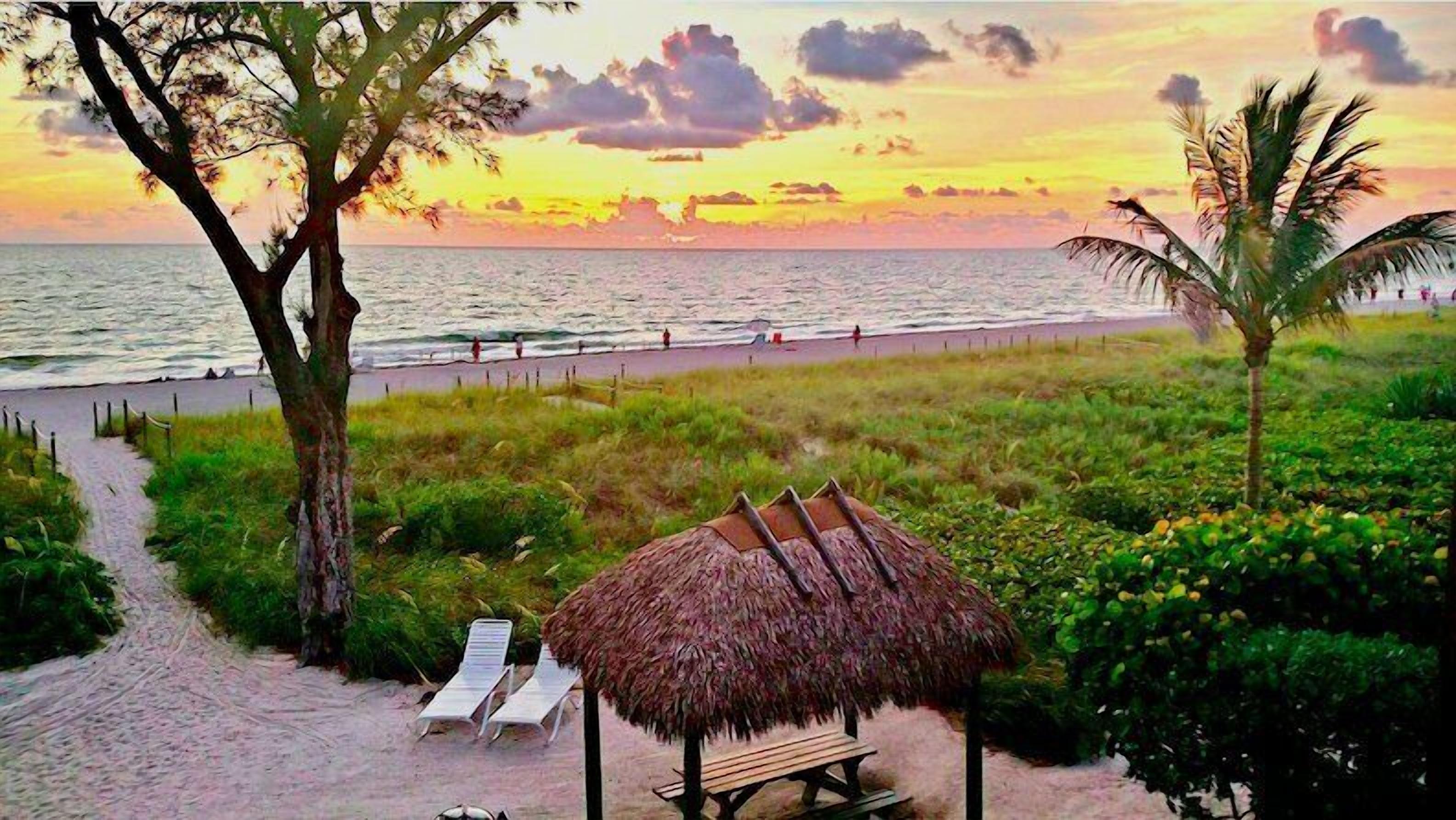 A beach scene with a thatched-roof hut, a pathway, and a bench.