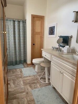 A bathroom with a toilet, sink, and mirror. There is a shower curtain, a door, and a rug on the floor. - Modern Lake House with Stunning Views (Medford)