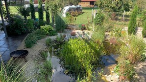A garden with a small pond, various plants, and a rustic outdoor seating area. - Small black forest lodge (Efringen-Kirchen)