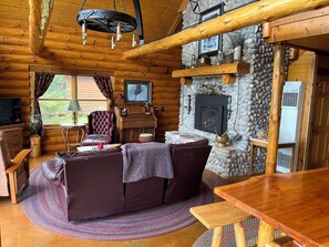 Smart TV, chimenea, reproductor de DVD y libros