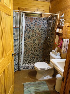 Shower, towels, toilet paper