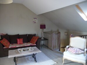 TV, fireplace, DVD player, books - Lin and the charming gite host in Picardy (Villers-Saint-Paul)