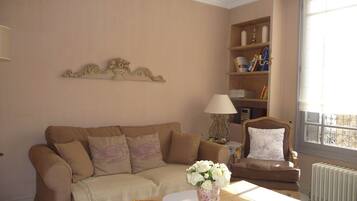 Télévision, cheminée, lecteur de DVD, livres