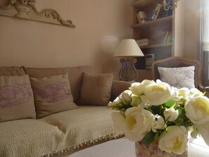 Télévision, cheminée, lecteur de DVD, livres