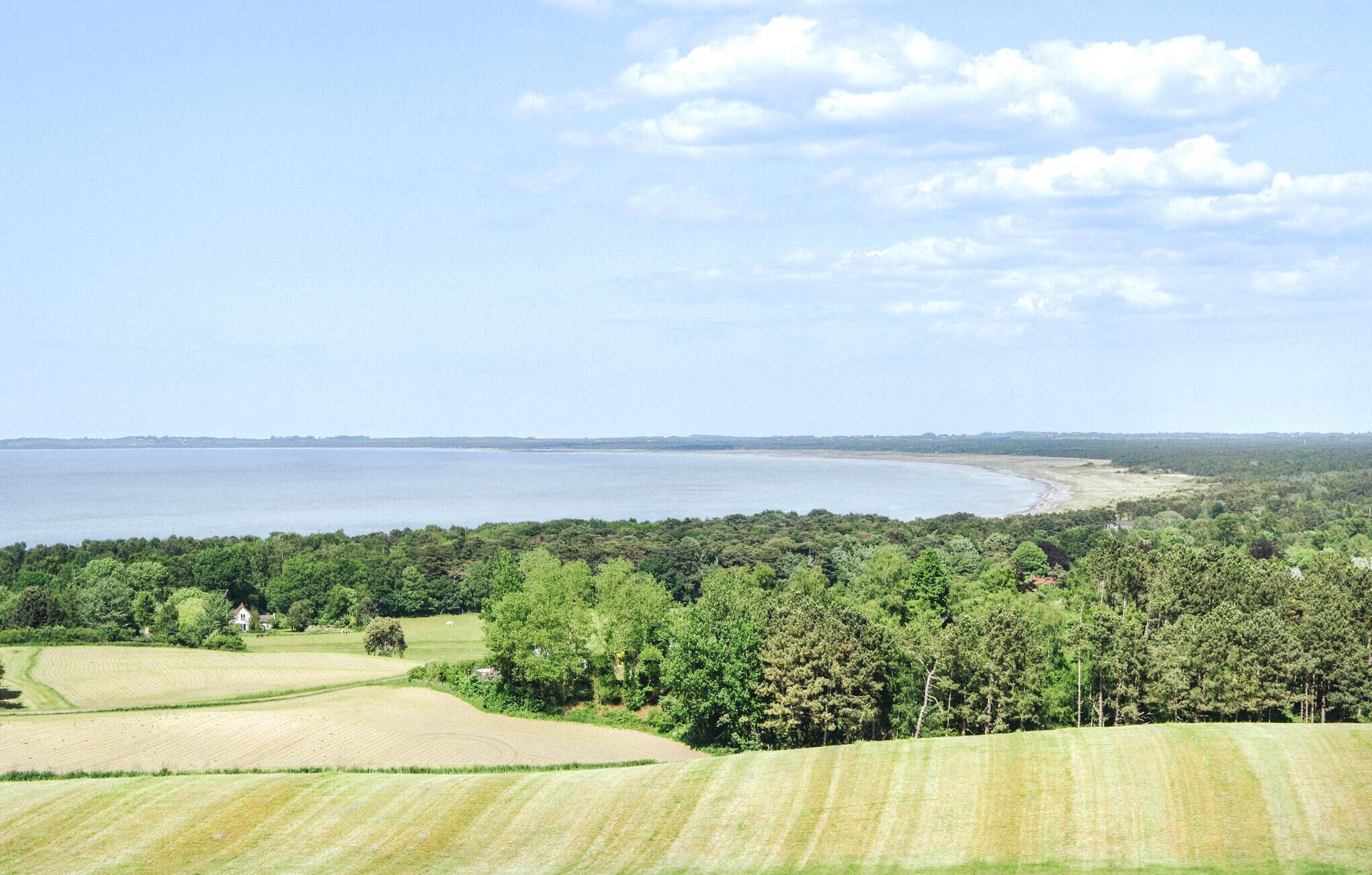 Un paysage côtier avec des champs, des arbres et une plage.