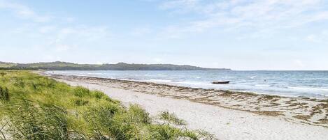 Une plage avec un rivage sablonneux, des zones herbeuses et un bateau sur l’eau.