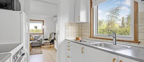 Fridge, stovetop, coffee/tea maker