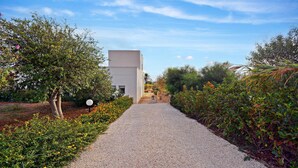 A gravel pathway leading to a modern building surrounded by lush greenery and flowering plants. - Lovely home in Cava D'aliga with house sea view (Cava D'aliga)