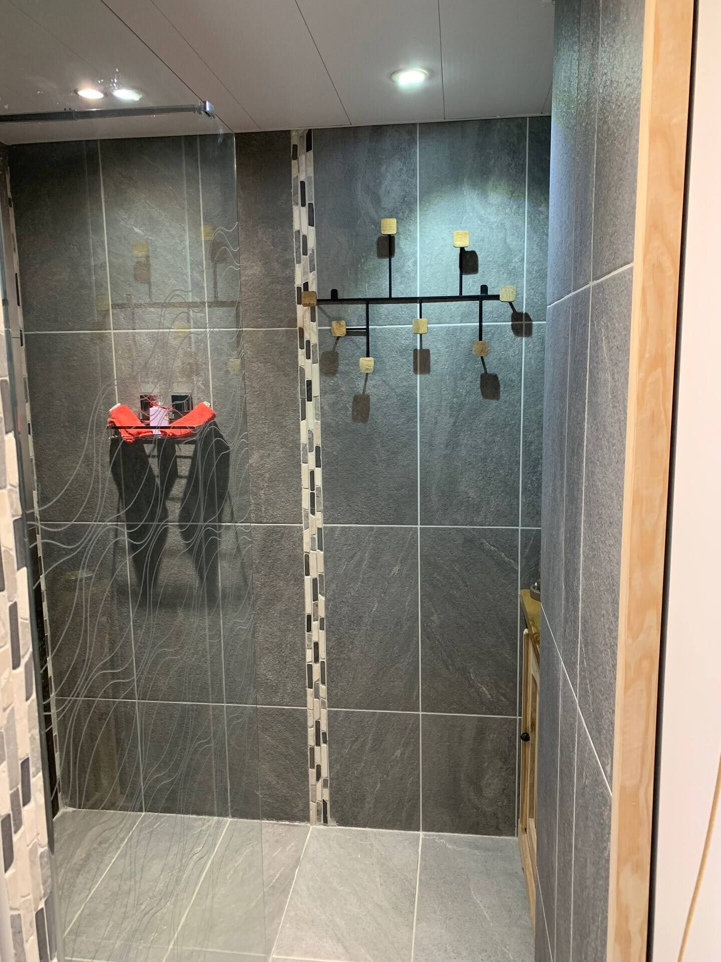 Shower, towels, soap, toilet paper