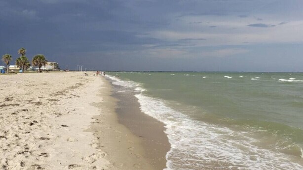 Uma praia com areal, palmeiras e céu claro.