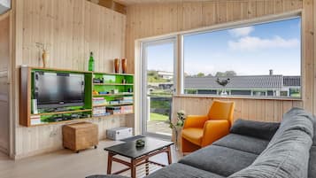 TV, fireplace, DVD player