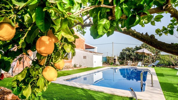 A swimming pool with a clear blue water surface, surrounded by a well-maintained lawn and a tree with ripe lemons. - Beautiful home in Alcolea del Rio (Alcolea del Rio)