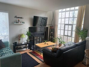 TV, fireplace