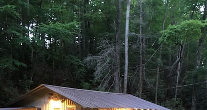 Trails End Cabin, Pet Friendly, Lake James Oasis