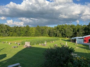 المنطقة المحيطة بالمنشأة