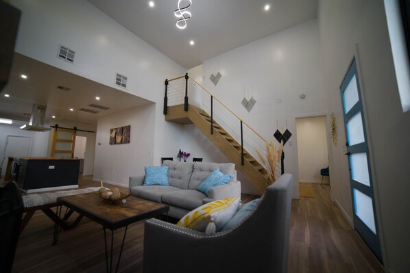 Smart TV, fireplace, books