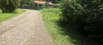 🐒CASA MONO VERDE 10 minutes walk to playa blanca, The National Park, Mepe Bus