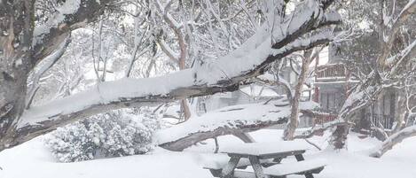A snow-covered picnic table in a park with bare trees.