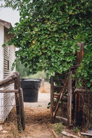 Property grounds - Country Farmhouse Sleeps 12 with hot tub. (Salmon)