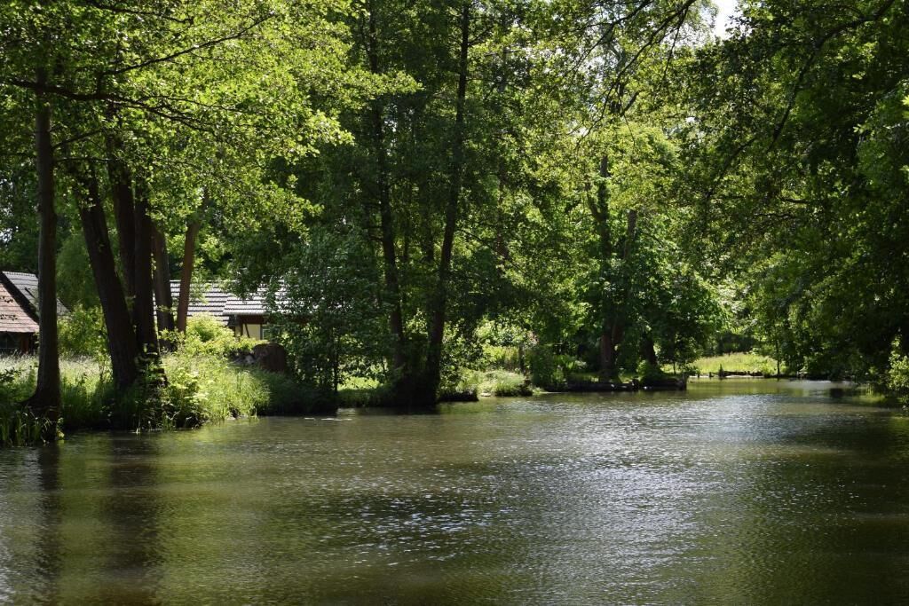 Un entorno tranquilo junto al río, con abundante vegetación y aguas serenas.
