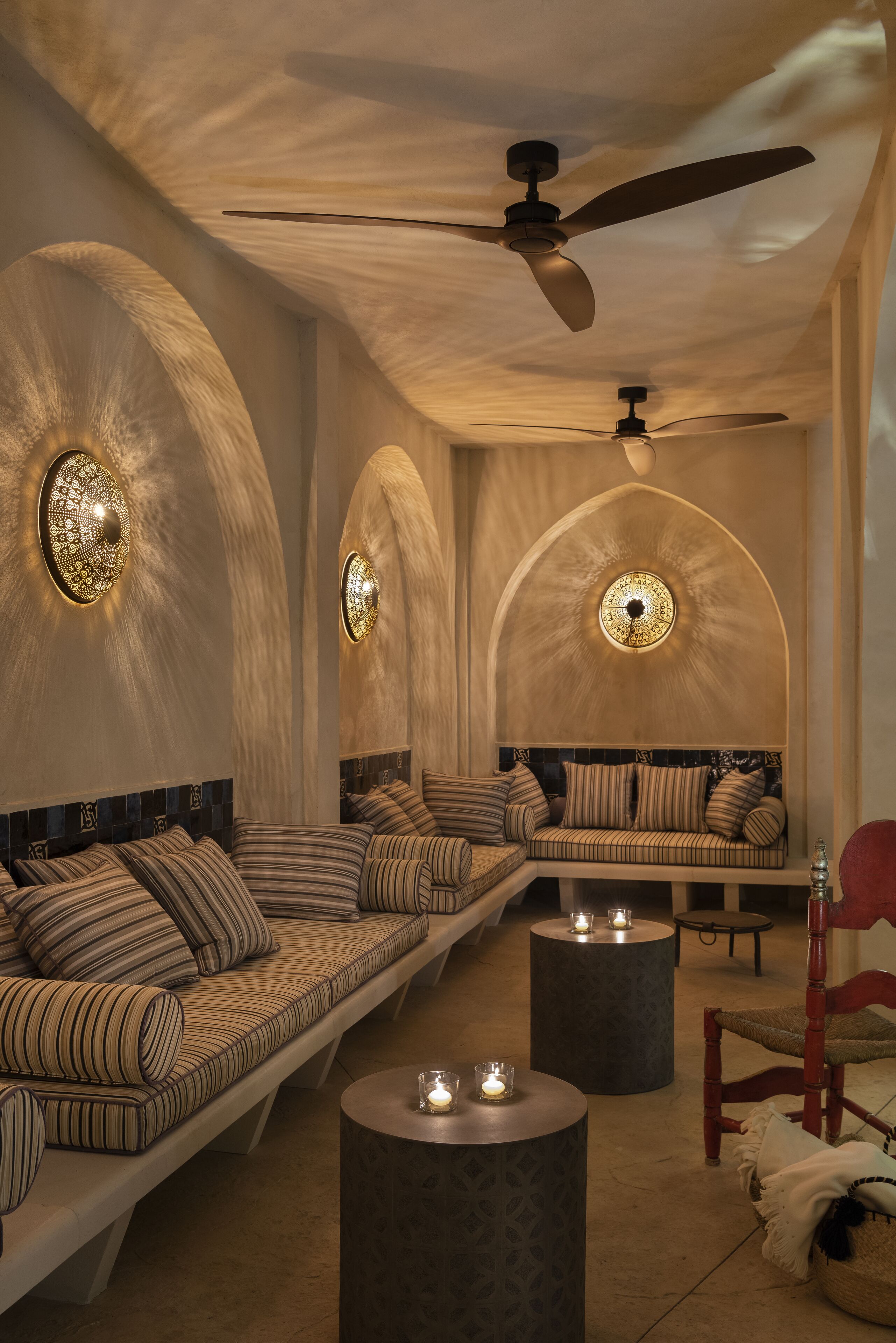 Photo - Pájaro Rebelde