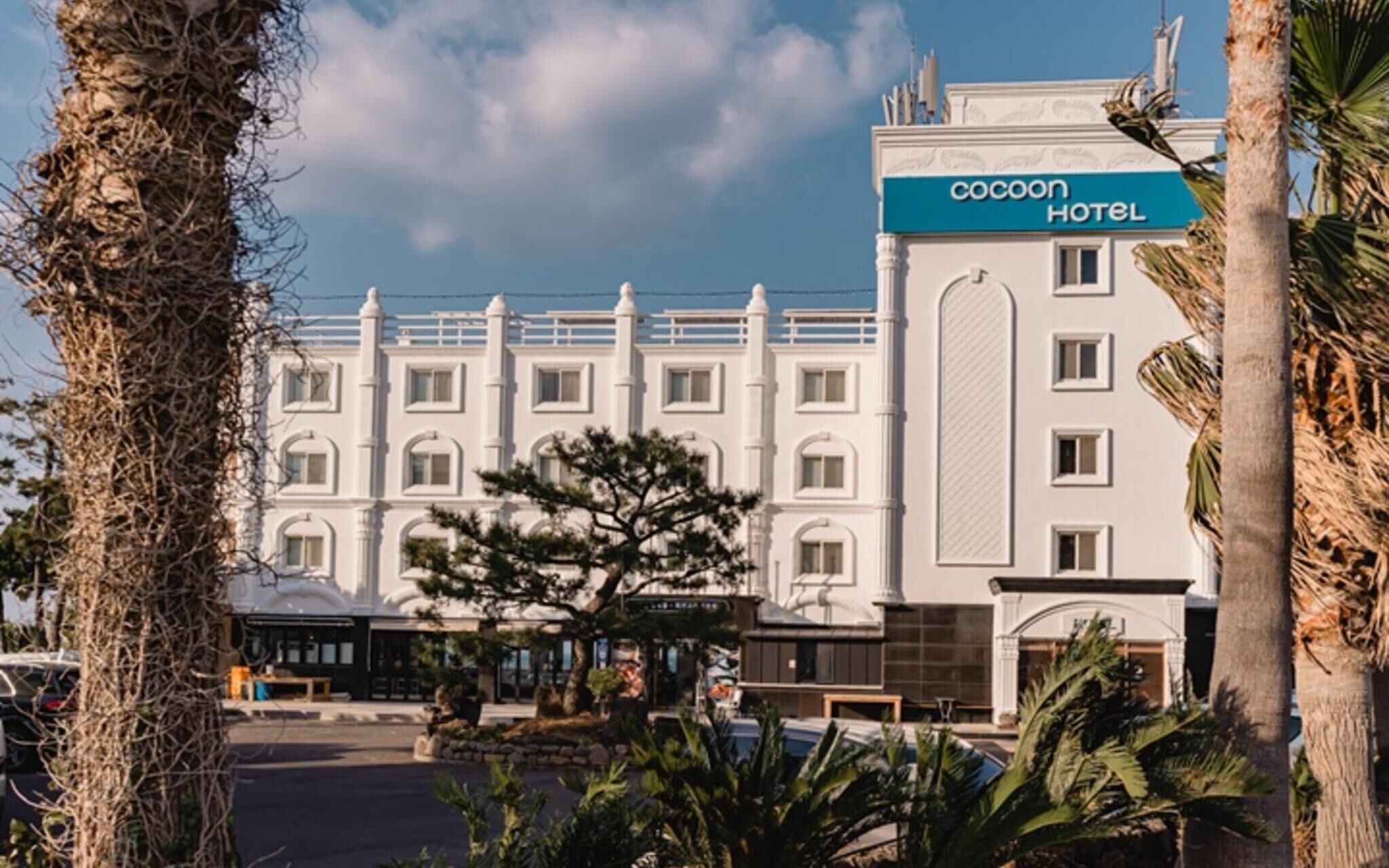 Foto - Cocoon Hotel