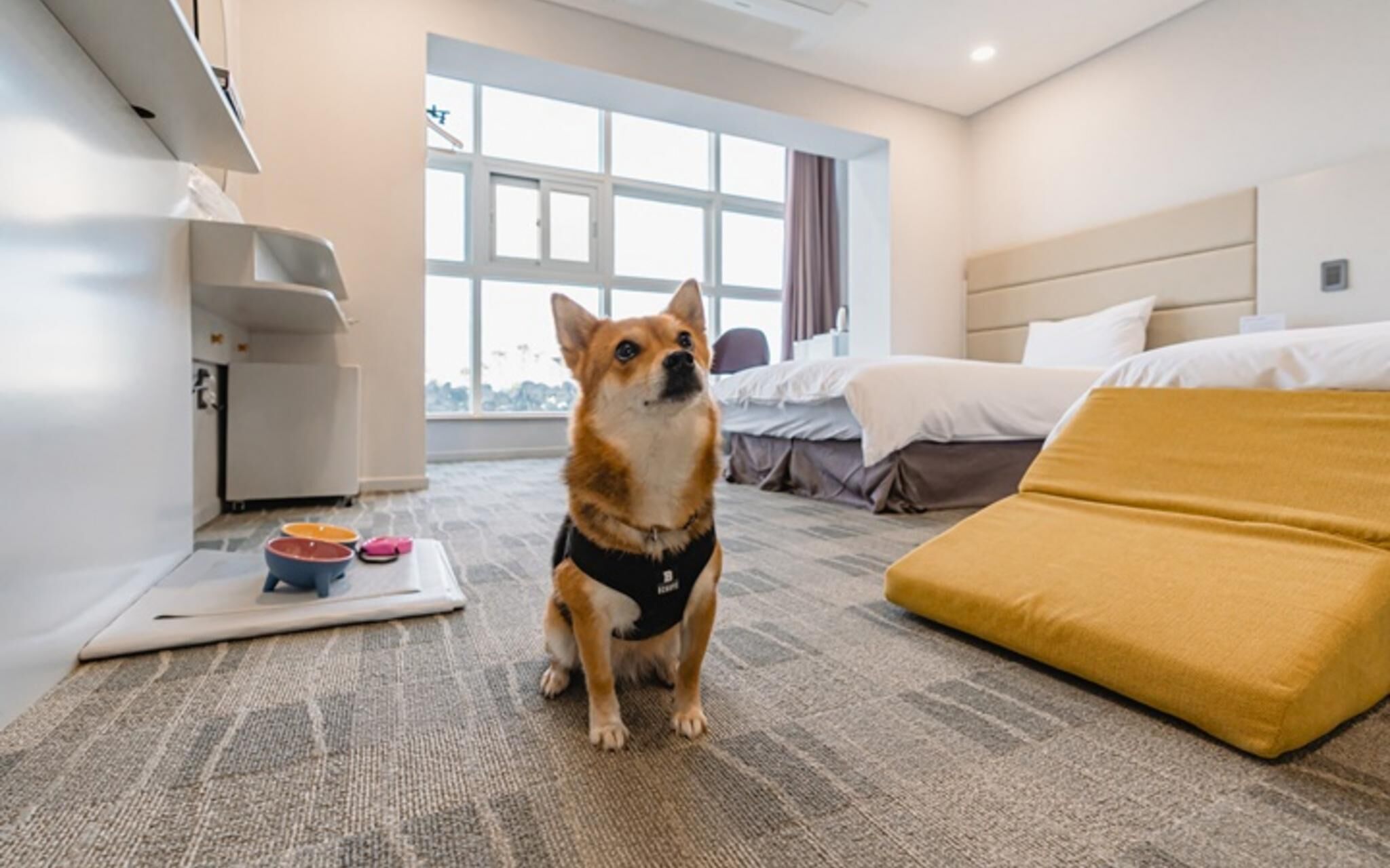 Foto - Cocoon Hotel