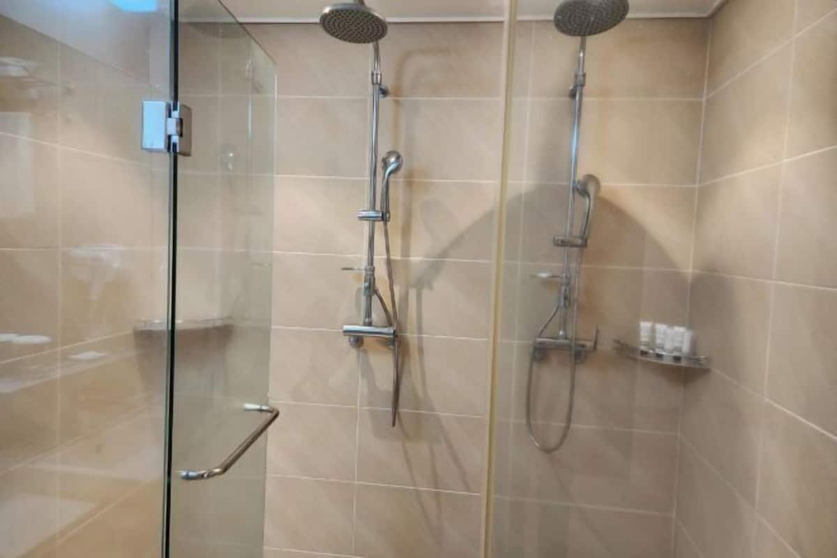 Baño | Secador de pelo, toallas, jabón y champú