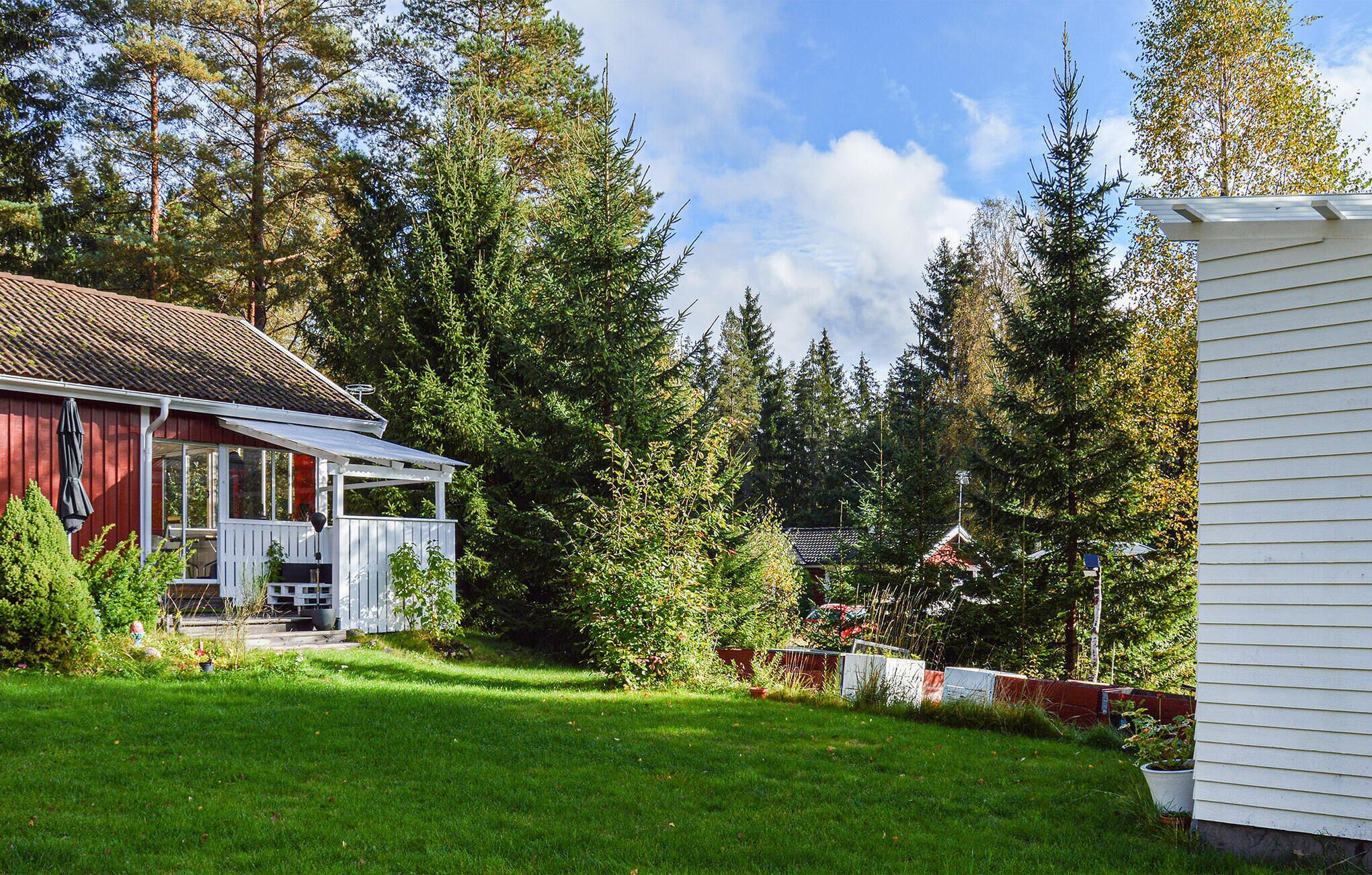 A house with a covered porch, a lawn, and a forested area in the background.