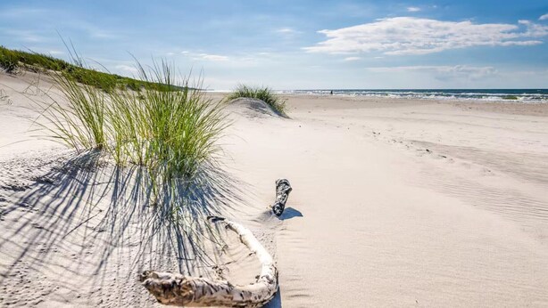 A sandy beach with sparse vegetation and a clear sky. - Large holiday home, summer pool, sauna, whirlpool (Sasino)