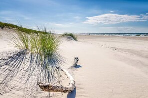A sandy beach with sparse vegetation and a clear sky. - Large holiday home, summer pool, sauna, whirlpool (Sasino)