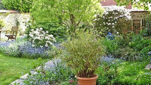 A garden with a variety of plants and flowers, a wooden bench, and a brick wall. - Apartment in Normandy near Pebble Beach (Fécamp)