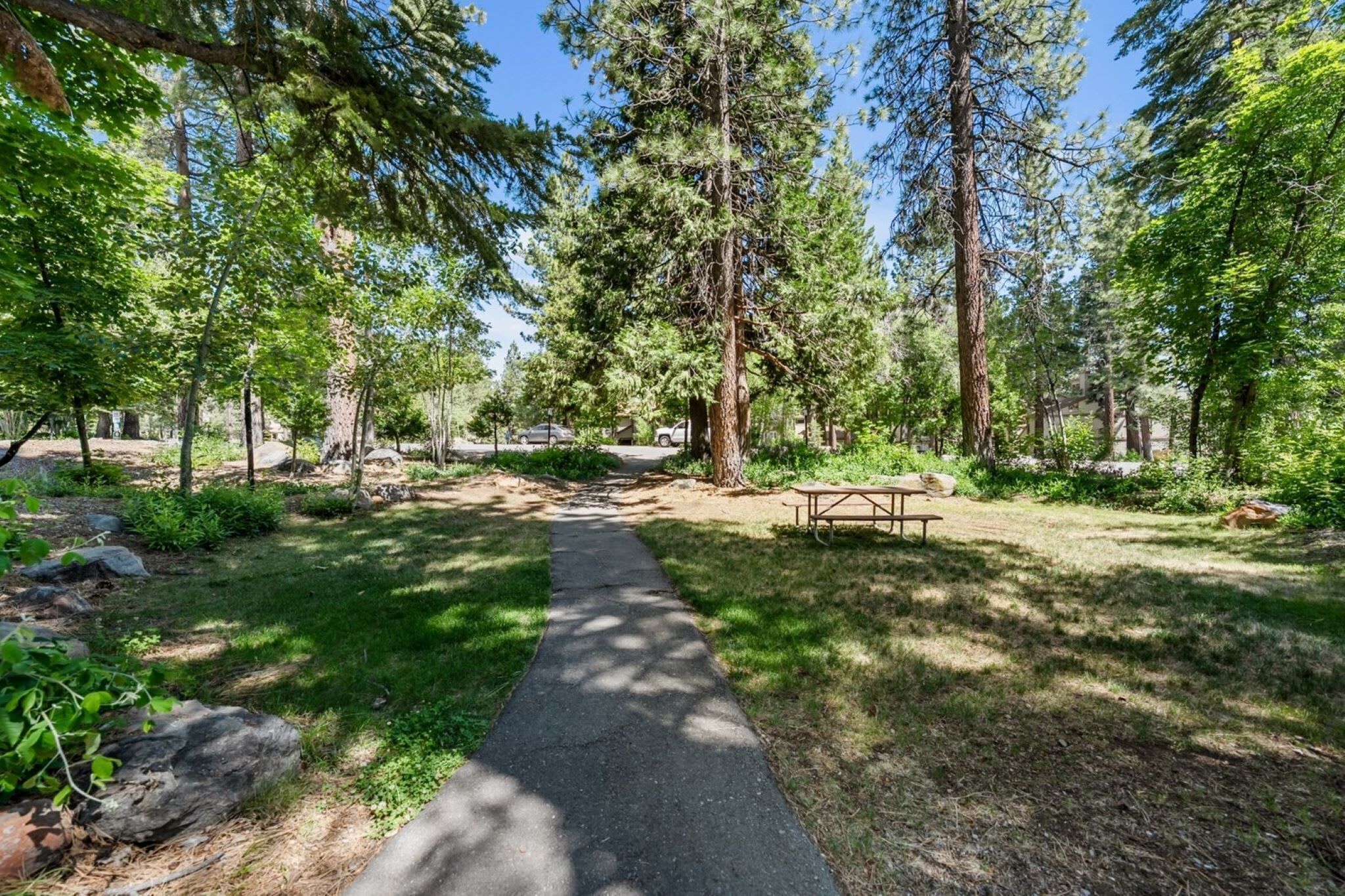 A paved path leading to a picnic area surrounded by tall trees and greenery.